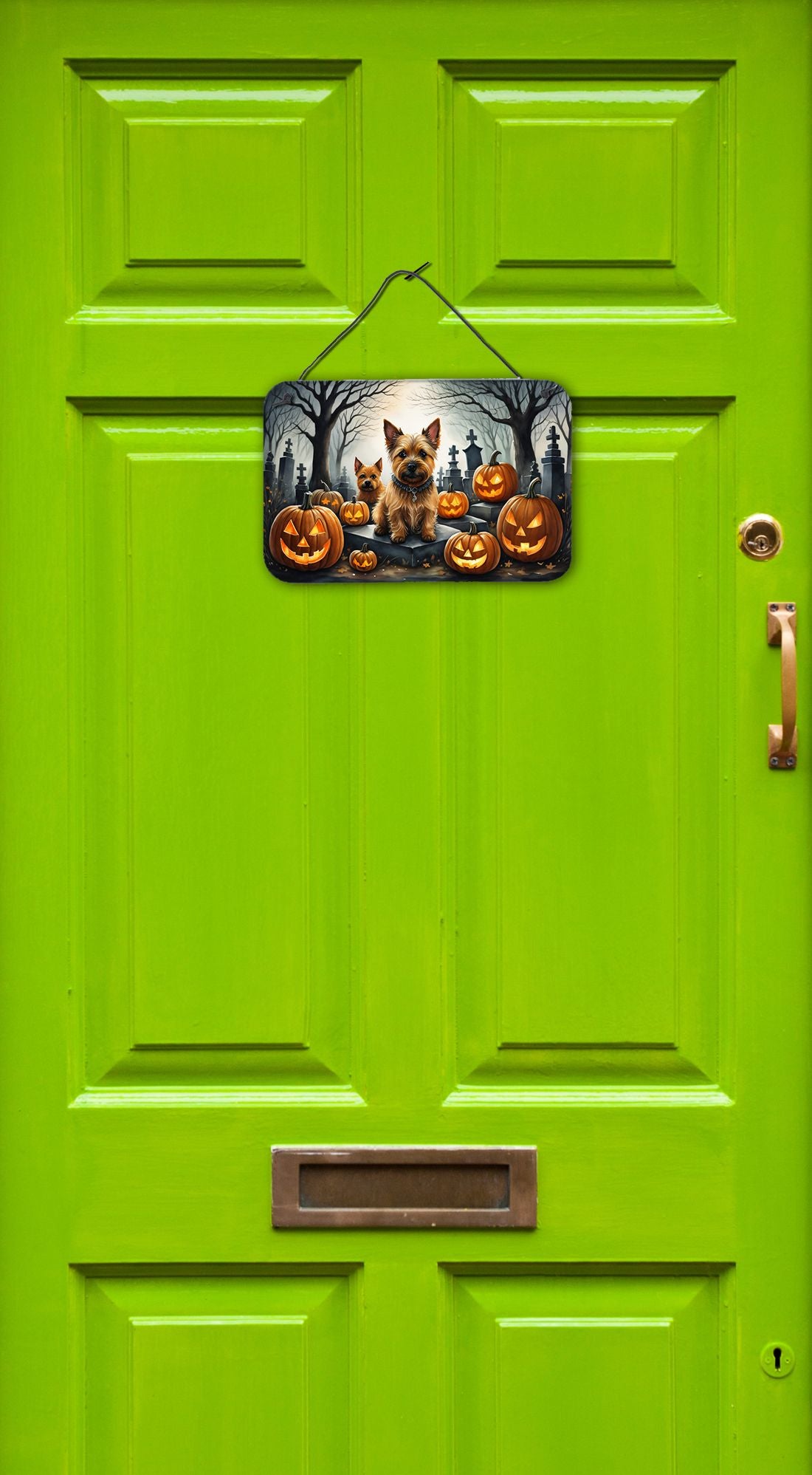 NEW Norwich Terrier Spooky Halloween Wall or Door Hanging Prints Aluminum Metal Sign Kitchen Wall Bar Bathroom Plaque Home Decor, 8HX12W, Multicolor